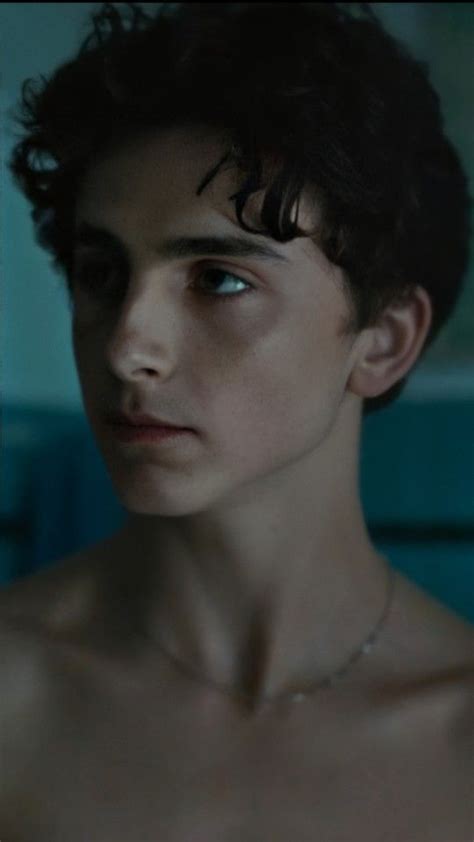 Timothee Chalamet Call Me By Your Name Timothee Chalamet In