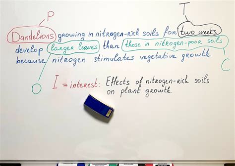 How To Write A Hypothesis The Ultimate Guide With Examples