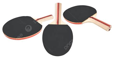 Rackets Ping Object Ping Pong Game Leisure Activity Png Transparent