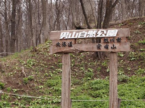 『男山自然公園にカタクリを見に行きました！』旭川北海道の旅行記・ブログ By みほさん【フォートラベル】