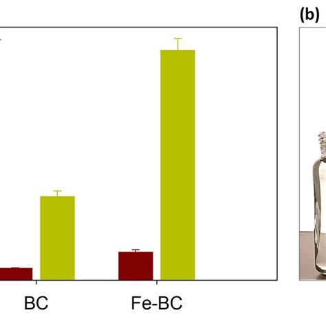 A Competitive Removal Of Cadmium Cd 2 And Lead Pb 2 Ions From