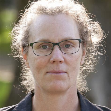 Sex V Gor Av Inflyttning Efter Istiden Forskning Framsteg