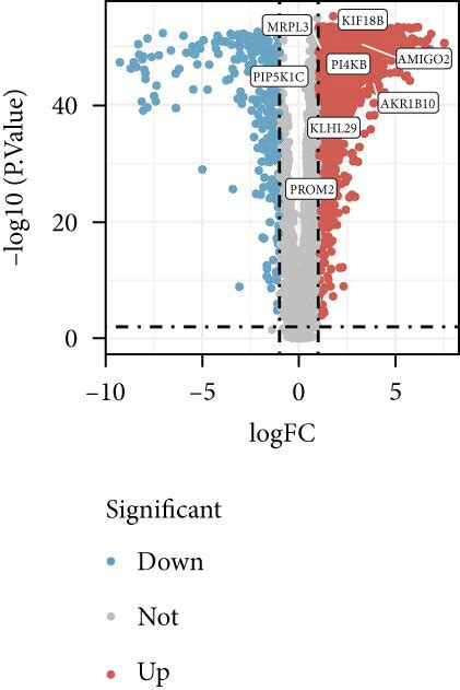 Construction Process Of Cox Risk Model A Differential Analysis