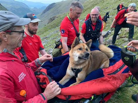 33公斤秋田犬攀英格蘭最高峰「累到走不動」 救援團4小時扛下山 Ettoday寵物雲 Ettoday新聞雲