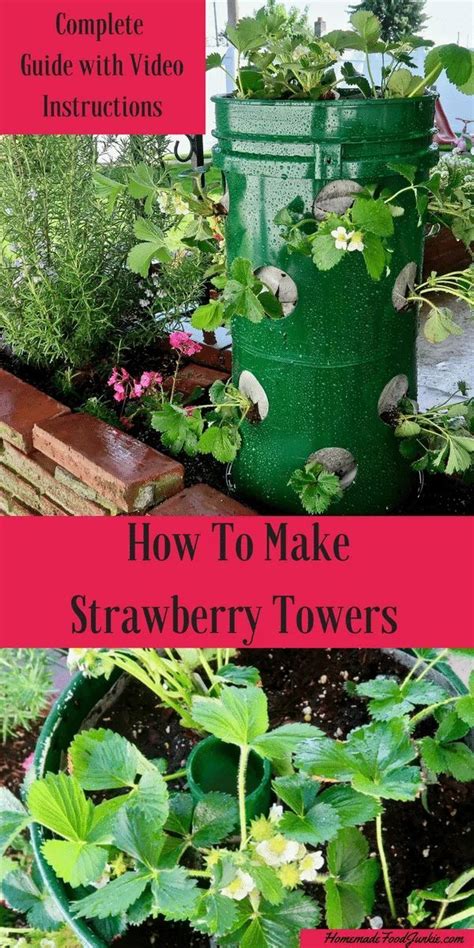 Diy Strawberry Towers Tutorial These Are A Very Useful Way To Easily