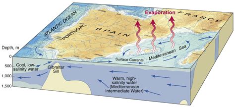 Messinian salinity crisis - Alchetron, the free social encyclopedia