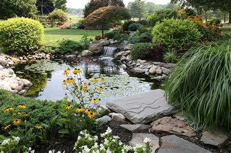 Comment Installer Un Bassin Dans Son Jardin