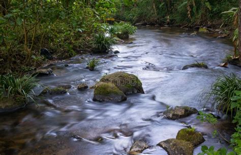 Beautiful Brook From Waterfalls Are Falling Down With Rock And Small