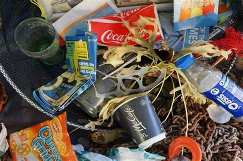 Coca Cola Pepsico Y Nestlé Las Más Contaminadoras