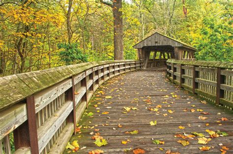 West Toledo OH Free Printable Online Coupons | Town Money Saver