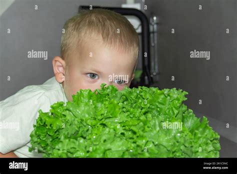 Ein Kleiner Junge Mit Einem Kurzen Haarschnitt Hilft Beim Kochen In Der