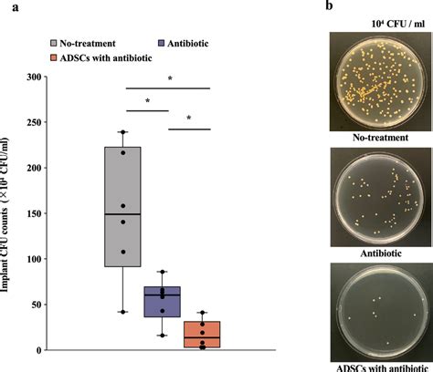 Cfu Assay A Antibacterial Activity Determined Using The Spread Plate Download Scientific