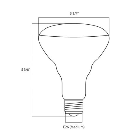 Satco S4887 65 Watt Frosted Shatterproof Finish Incandescent Rough