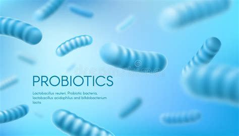 Lactobacillus Bifidobacterium Probiotic Bacteria Stock Illustration