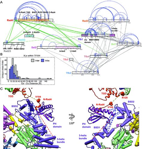 Cross Linking And Mass Spectrometry Of Tfiihrad4 Rad23 Rad33dna A