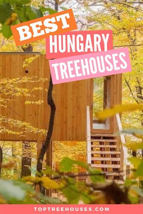 3 Best Hungary Treehouse Rentals 2024 Top Treehouses