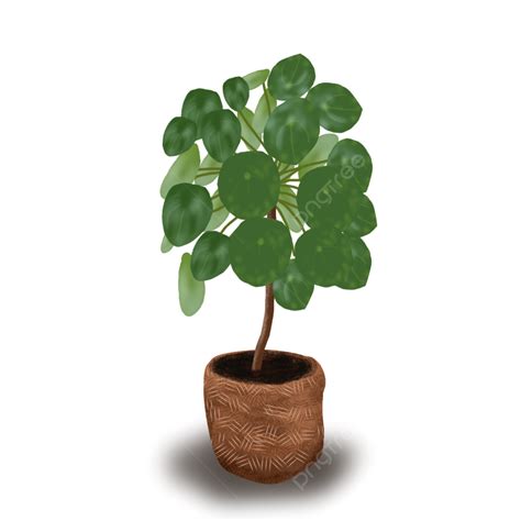 Planta Em Vaso Em Casa Png Png Casa Panela Plantar Imagem Png E Psd