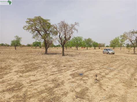 Terrains Parcelles Un Terrain D Une Superficie De Hectares En