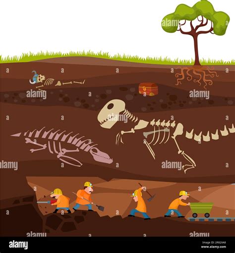 Geologie Fotografie Stock Vektorgrafiken Kaufen Alamy