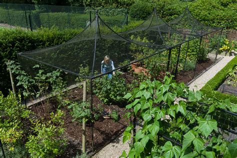 Peak Roof Heavy Duty Steel Decorative Fruit Cage Harrod Horticultural