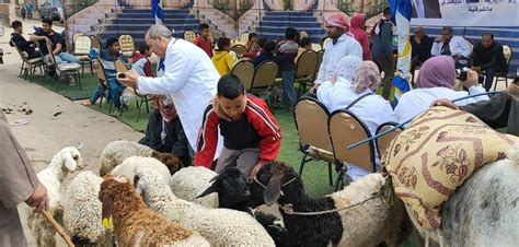 بيطري الشرقية ينظم قافلة طبية بيطرية شاملة بالمجان بقرية الغزالى مركز