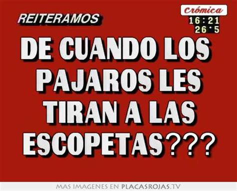 De Cuando Los Pajaros Les Tiran A Las Escopetas Placas Rojas Tv