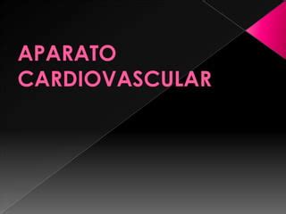 Sistema Cardiovascular Embrionario Ppt