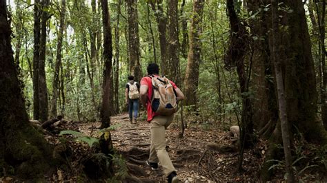 Id Es De Journ E Nature En Famille Au Pays De Sarrebourg