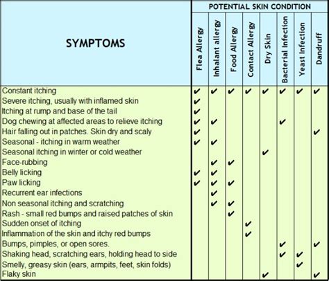 Common Dog Skin Conditions. Symptoms, Diagnosis, Remedies.