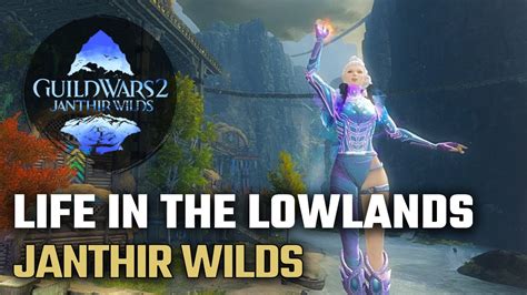 Gw Life In The Lowlands Achievement Lowlands Shore Janthir Wilds