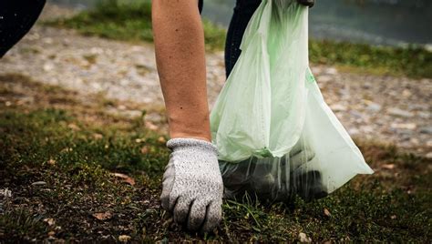 France Nature Environnement Cart E Du World Cleanup Day De Montauban