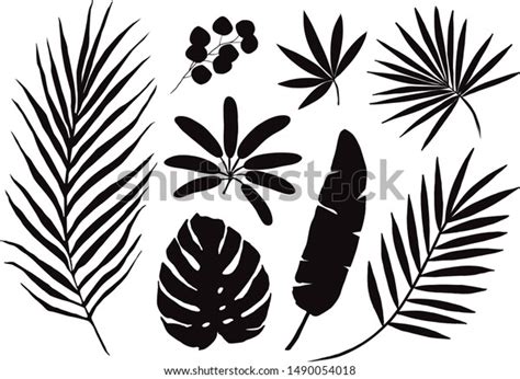 Set Hand Drawn Tropical Palm Leaves Stock Vector Royalty Free