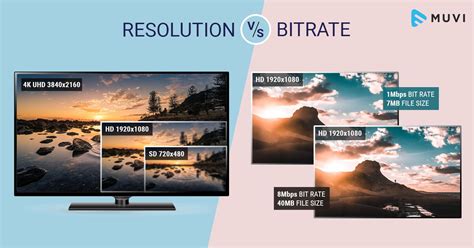 Video Bitrate And Frame Rate How Does It Affect Video Quality