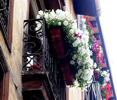 El Ayuntamiento De Elgoibar Anima A Embellecer Los Balcones Con Un