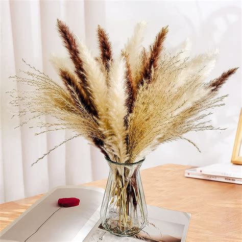 Rbeufolr Natural Dried Pampas Grass For Home Decor Brown White 60 Pieces Amazon Ae Home