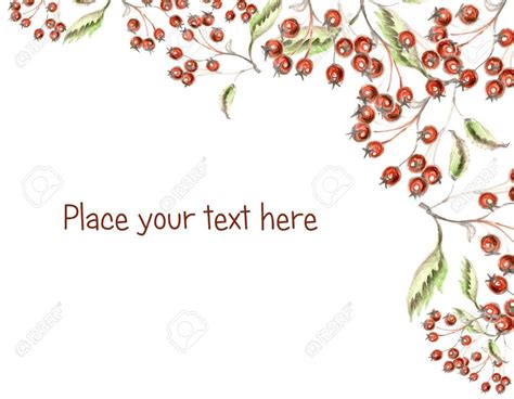 Holly Berries Drawing at GetDrawings | Free download