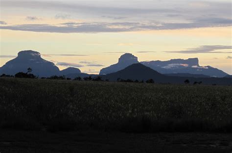 Angel Falls And Canaima National Park Angel Eco Tours