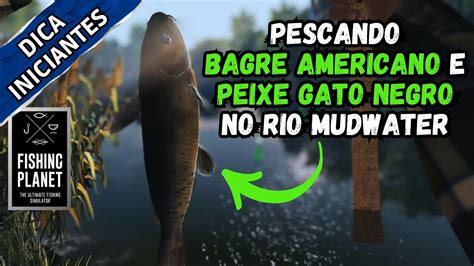 COMO PESCAR BAGRE AMERICANO E PEIXE GATO NEGRO NO RIO MUDWATER FISHING