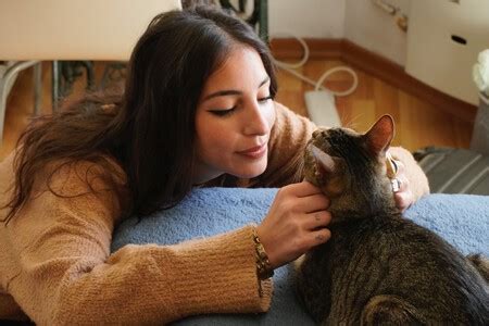 Los gatos nos reconocen cuando les hablamos como a bebés pero solo si