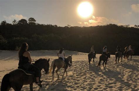 Passeio a cavalo em Florianópolis Sambatur