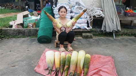 Orphan Survival Sister And Brother Homeless Harvest Bamboo Shoot For