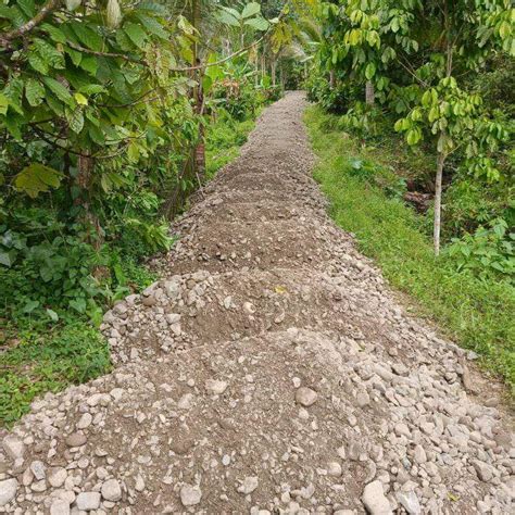 Topang Sektor Pertanian Pemdes Abak Bangun Jalan Usaha Tani