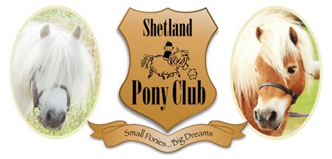 Shetland Pony Club, Children’s horse riding, kids lessons, Surrey.