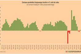 Pkb W Polsce Na Przestrzeni Lat Ile Wynosi Wzrost Gospodarczy I Jak