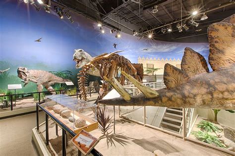 October Is National Dinosaur Month Creation Museum Museum