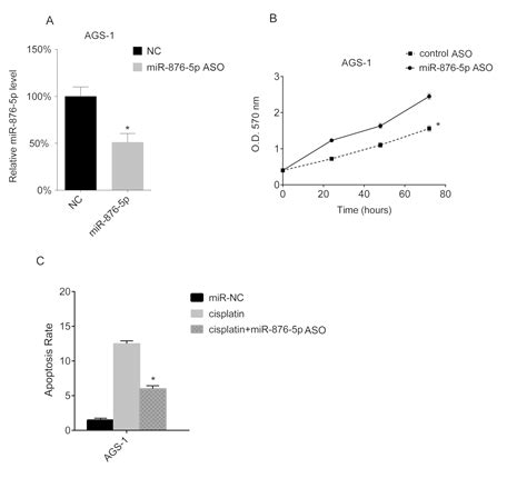 Tumor Suppressor Role Of Mir‑876‑5p In Gastric Cancer