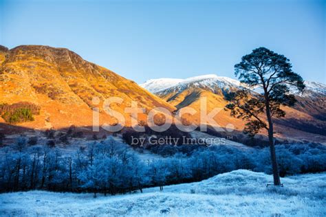 Sunset On Ben Nevis Stock Photo Royalty Free Freeimages