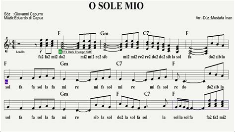 O Sole Mio F Violinfluteguitarkeyboardaccordionmelodicaukulelerecorder Youtube