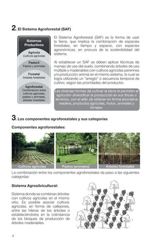 Guia Sistemas Agroforestales Pdf