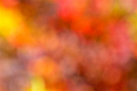 Autumn Colors Background Free Stock Photo - Public Domain Pictures